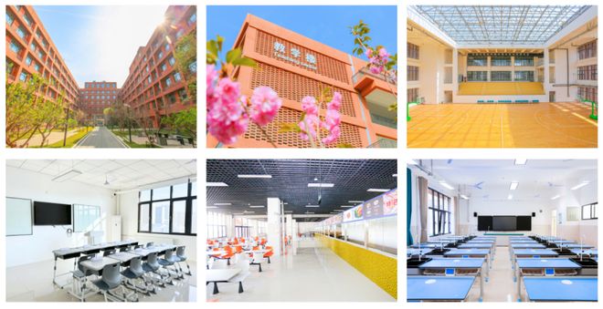 新航道锦秋国际：以灵活学制为学子定制全球名校升学路径